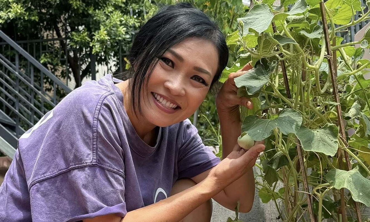 Thưởng đăng ký Hi88 và cảm hứng sống xanh từ vườn rau sân thượng của Phương Thanh - hình ảnh - vnhi88.vip Thưởng đăng ký Hi88 và cảm hứng sống xanh từ vườn rau sân thượng của Phương Thanh - hình ảnh - vnhi88.vip