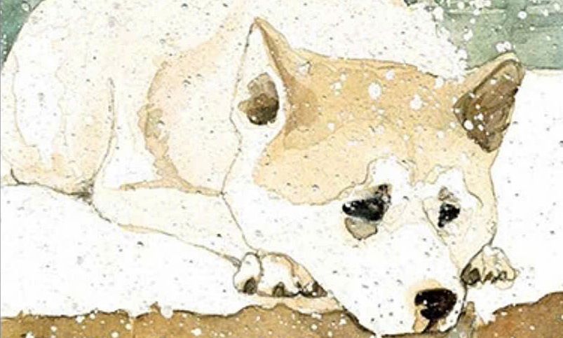 ‘Hachiko, chú chó đợi chờ’ – bản hùng ca về lòng trung thành lay động triệu trái tim - hình ảnh - vnhi88.vip ‘Hachiko, chú chó đợi chờ’ – bản hùng ca về lòng trung thành lay động triệu trái tim - hình ảnh - vnhi88.vip