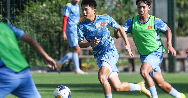 Hi88 cược bóng đá
