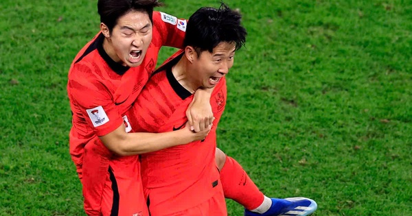 Hi88 uy tín đồng hành cùng fan bóng đá Á – Phi tại World Cup 2026 - hình ảnh - vnhi88.vip