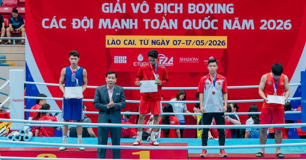 Hi88 Việt Nam và vụ việc bầu cử gây tranh cãi tại Liên đoàn Quyền anh Việt Nam - hình ảnh - vnhi88.vip