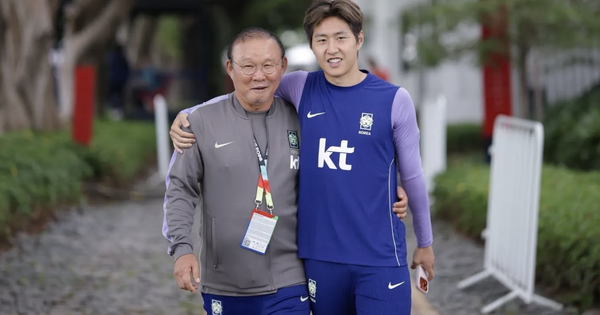 Nóng: Trưởng đoàn Hàn Quốc Park Hang-seo cúi đầu xin lỗi sau thất bại tại World Cup 2026 - hình ảnh - vnhi88.vip Nóng: Trưởng đoàn Hàn Quốc Park Hang-seo cúi đầu xin lỗi sau thất bại tại World Cup 2026 - hình ảnh - vnhi88.vip