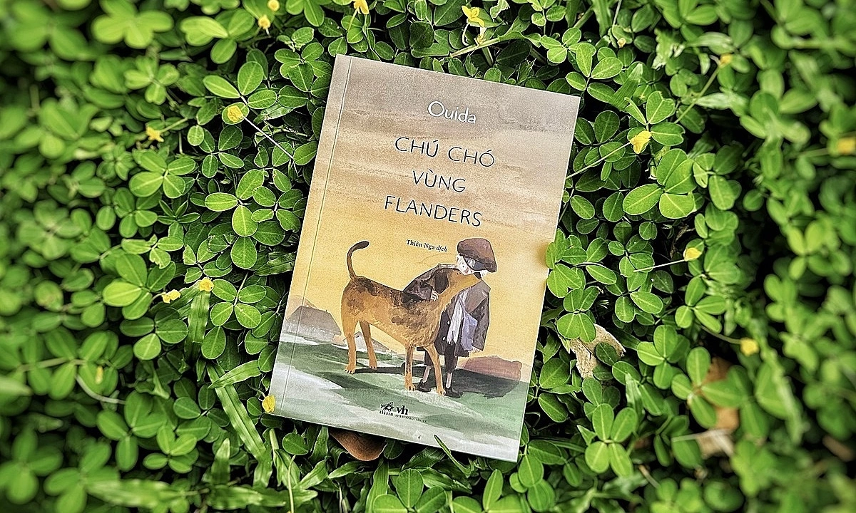 Hi88 chính thức: Câu chuyện cảm động ‘Chú chó vùng Flanders’ và bài học vượt nghịch cảnh - hình ảnh - vnhi88.vip