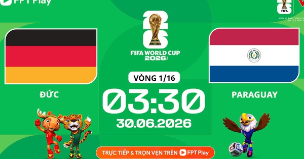 Hi88 cược thể thao
